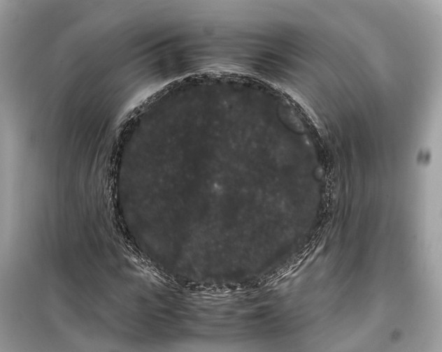 X0000099310919200805231400