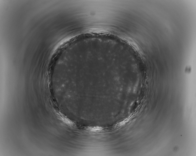 X0000099310920200805231400