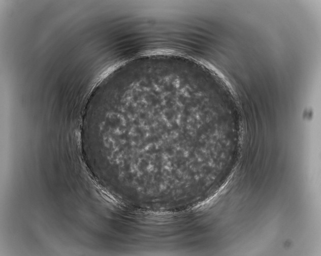 X0000099310921200805231400