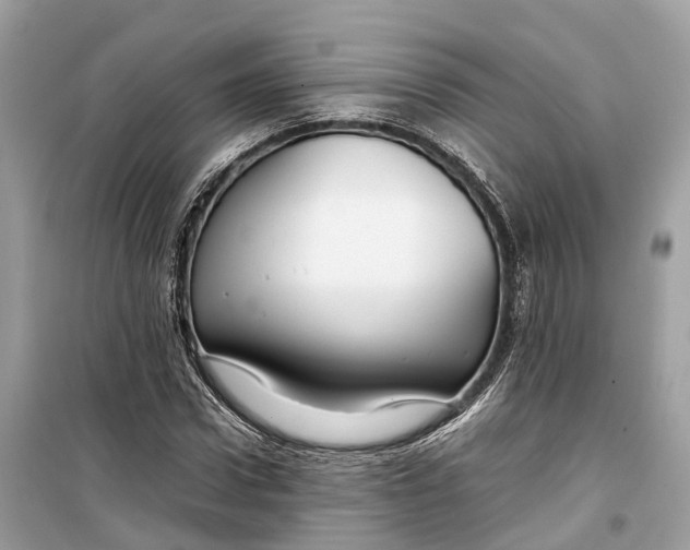 X0000099310922200805231400