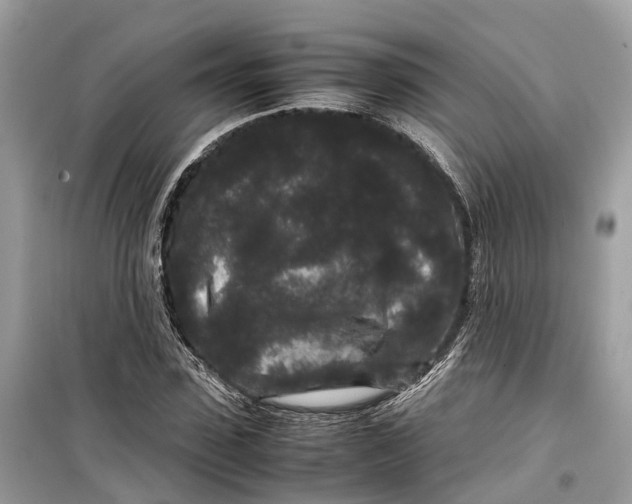 X0000099310923200805231400