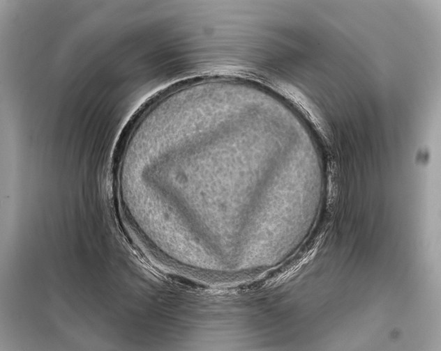 X0000099310924200805231400