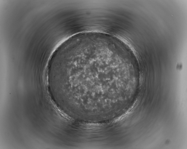 X0000099310925200805231400