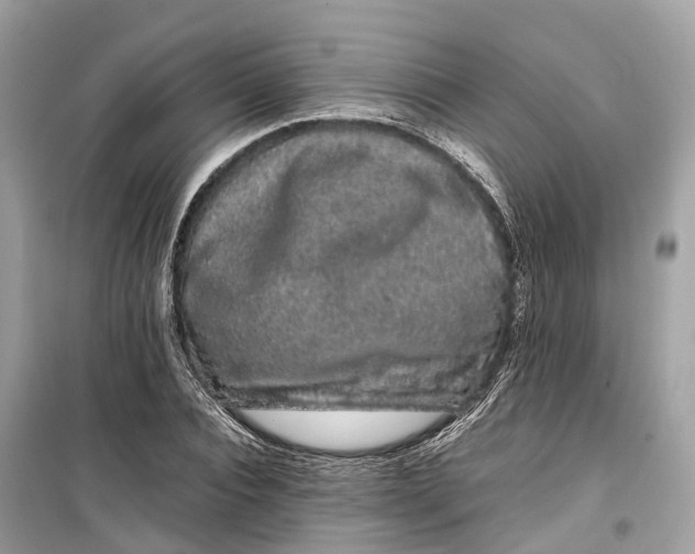 X0000099310928200805231400