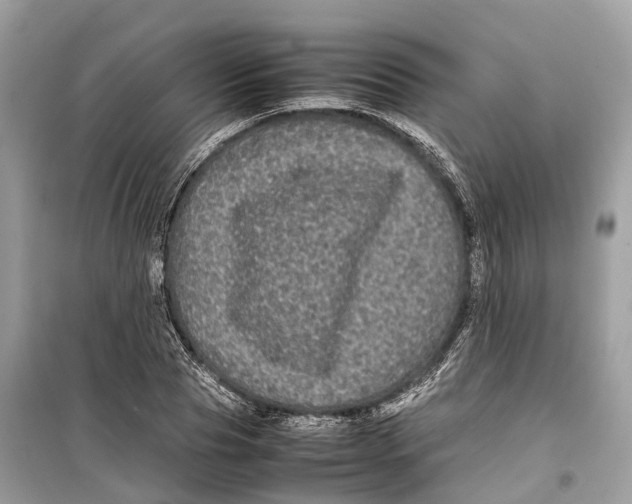 X0000099310929200805231400