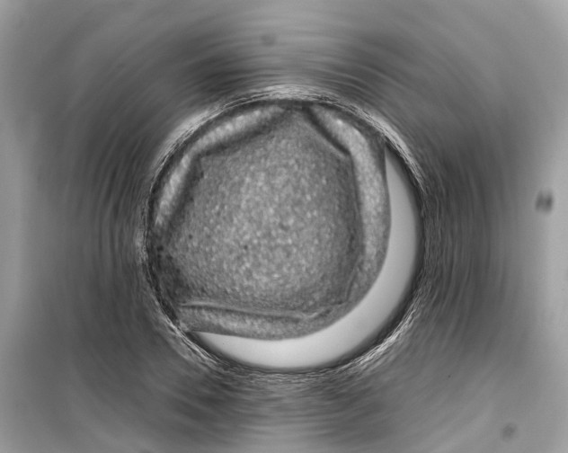 X0000099310930200805231400