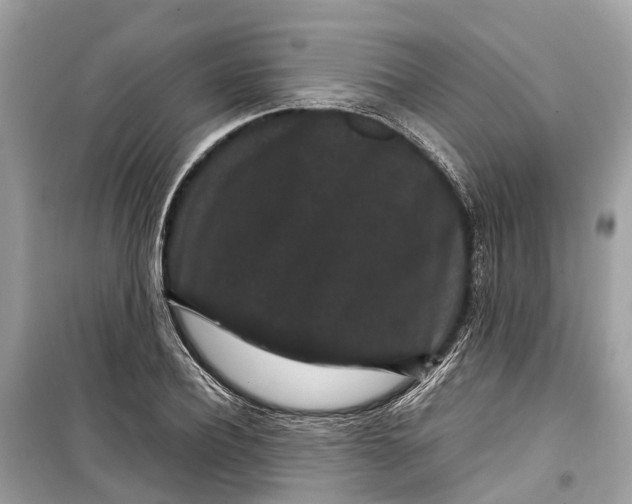 X0000099310932200805231400