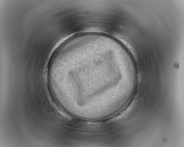 X0000099310933200805231400