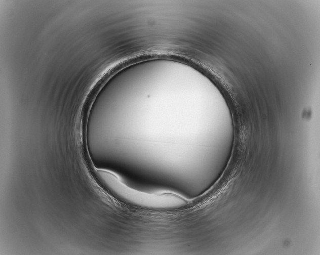 X0000099310934200805231400