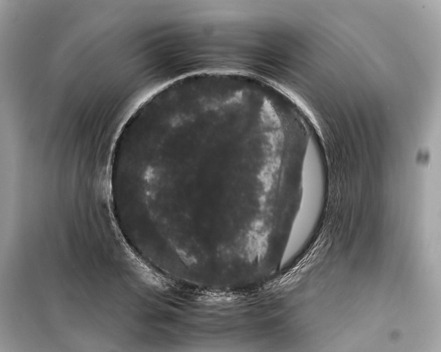 X0000099310935200805231400