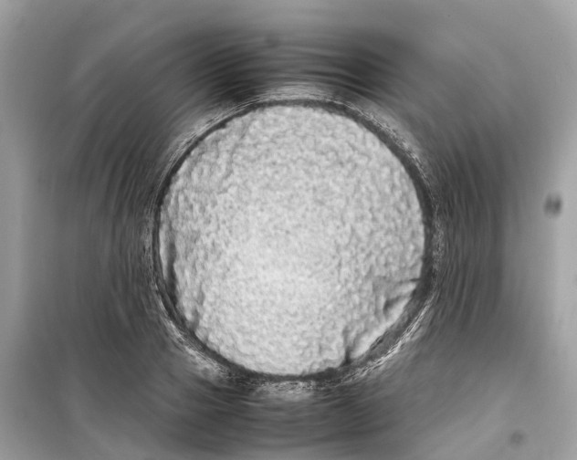 X0000099310937200805231400