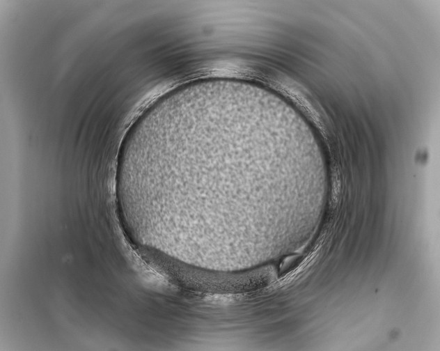 X0000099310938200805231400