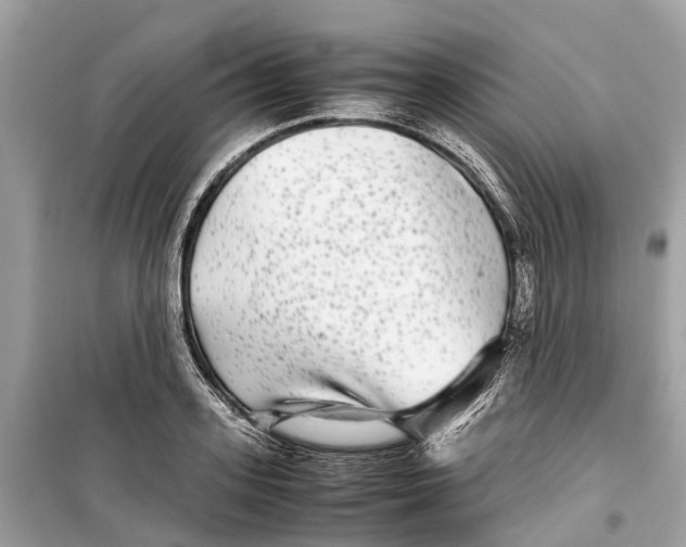 X0000099310939200805231400