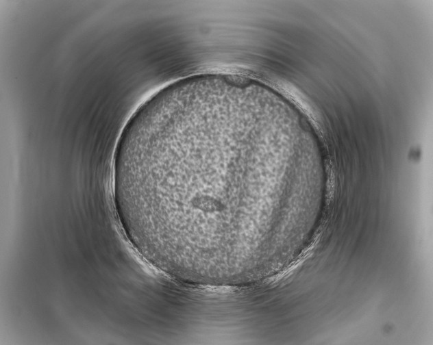 X0000099310940200805231400