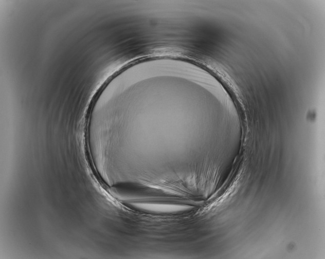 X0000099310941200805231400