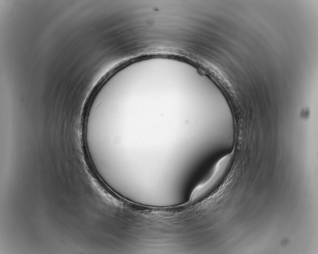 X0000099310942200805231400