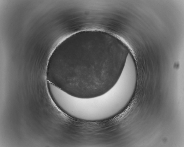 X0000099310943200805231400