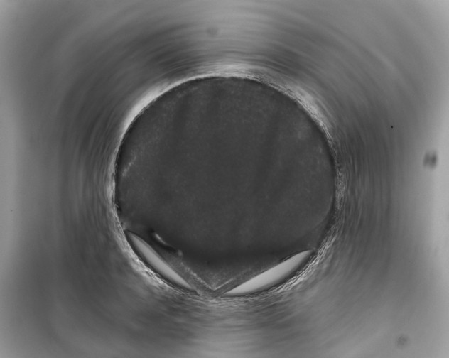 X0000099310944200805231400