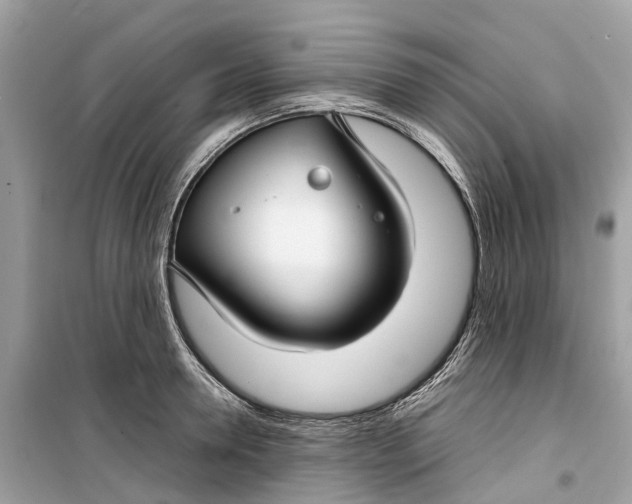 X0000099310946200805231400