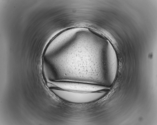 X0000099310948200805231400