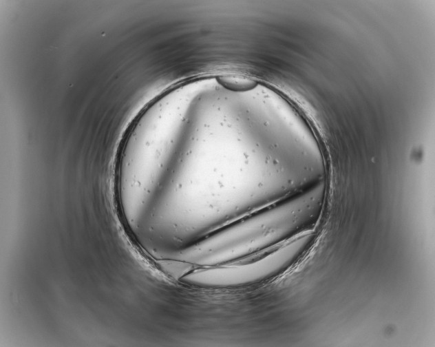 X0000099310949200805231400