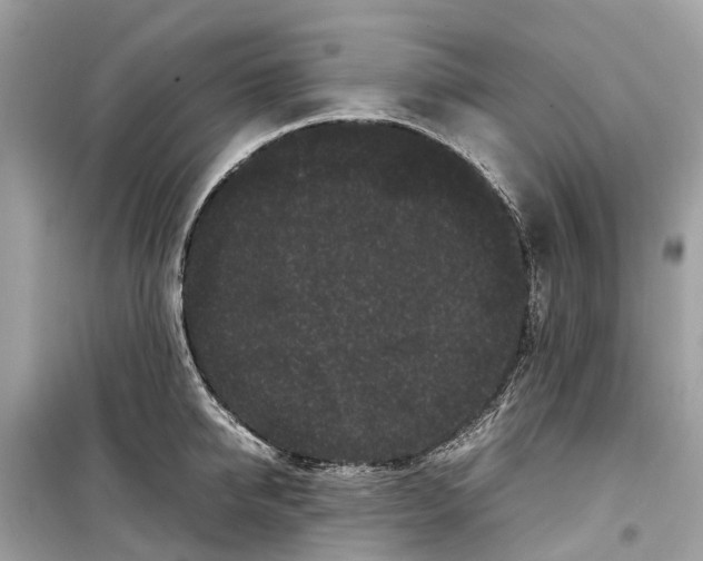 X0000099310950200805231400