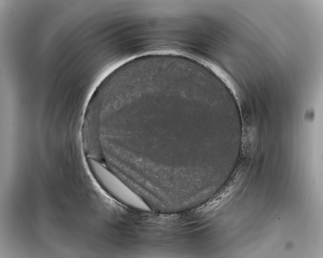 X0000099310951200805231400