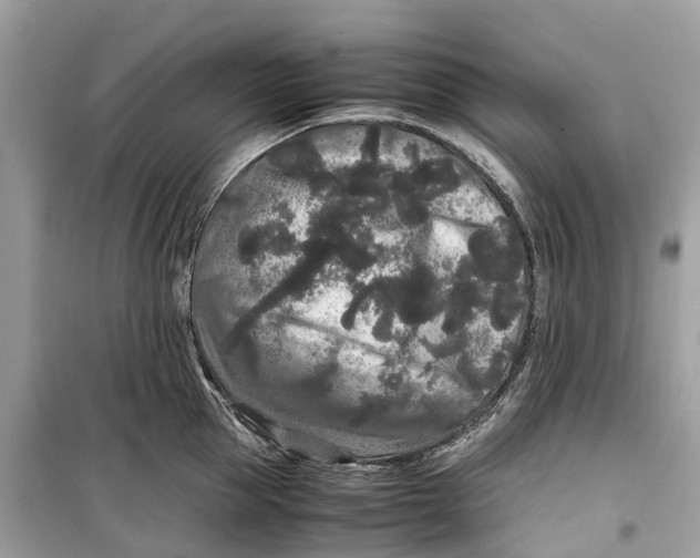 X0000099310953200805231400