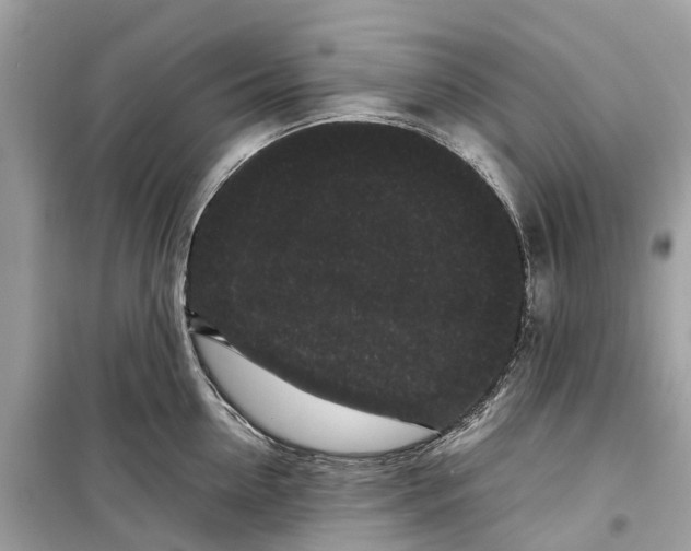 X0000099310954200805231400