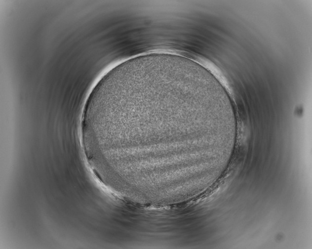 X0000099310955200805231400