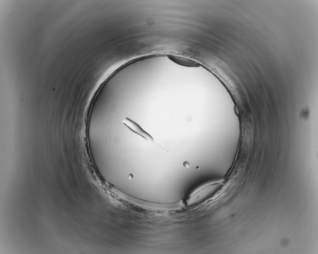 X0000099310956200805231400