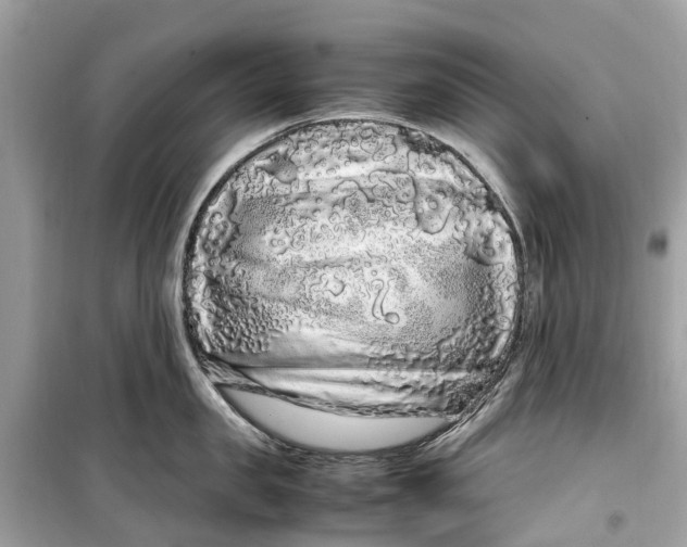 X0000099310957200805231400