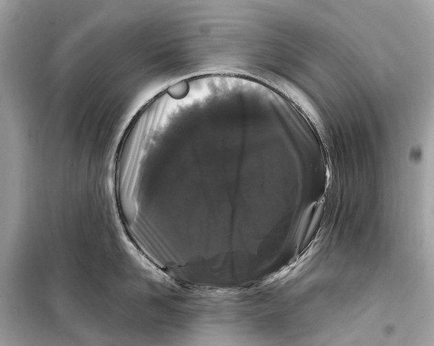 X0000099310958200805231400