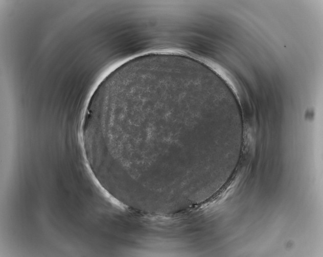 X0000099310959200805231400