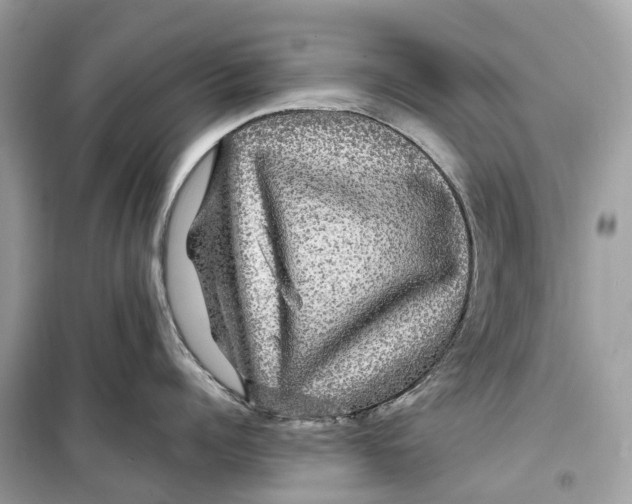 X0000099310960200805231400