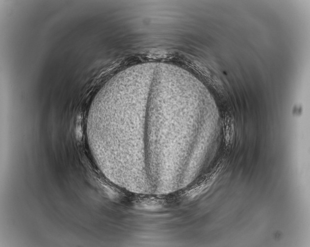 X0000099310962200805231400