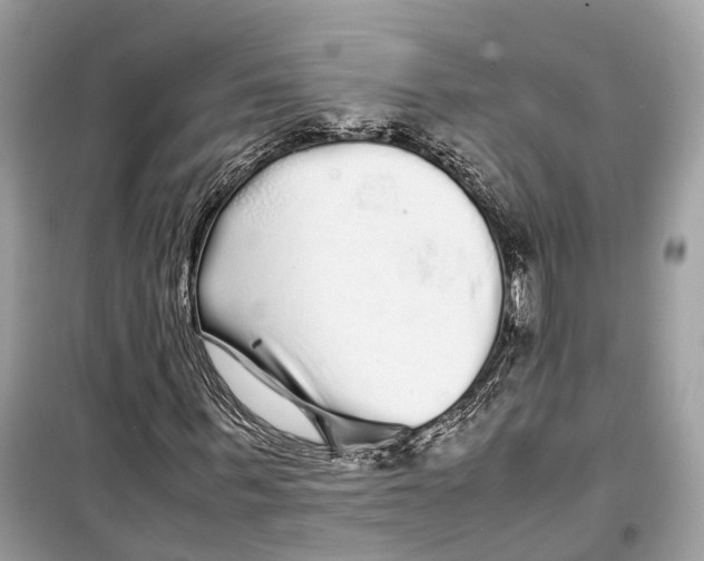 X0000099310963200805231359