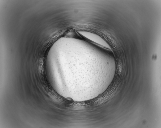 X0000099310964200805231359