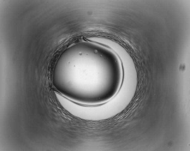 X0000099310965200805231359