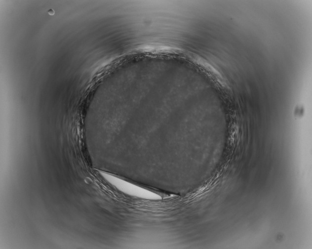 X0000099310966200805231359