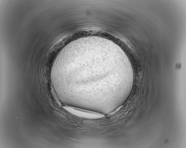 X0000099310967200805231359