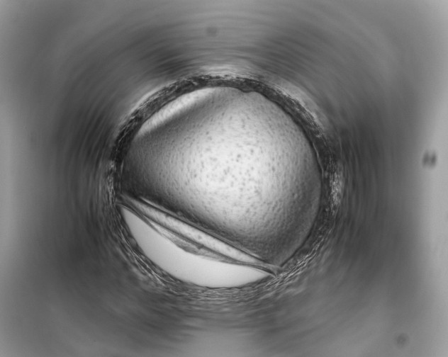 X0000099310968200805231359