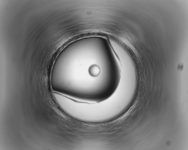 X0000099310969200805231359