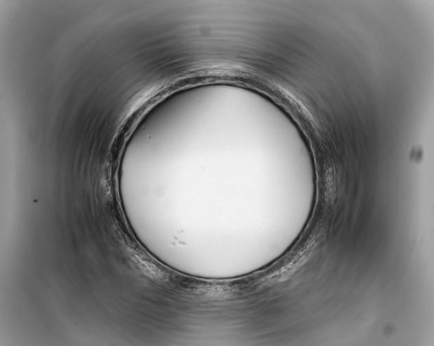 X0000099310970200805231359