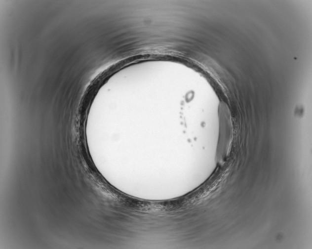 X0000099310971200805231359