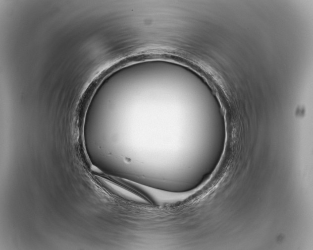 X0000099310973200805231359