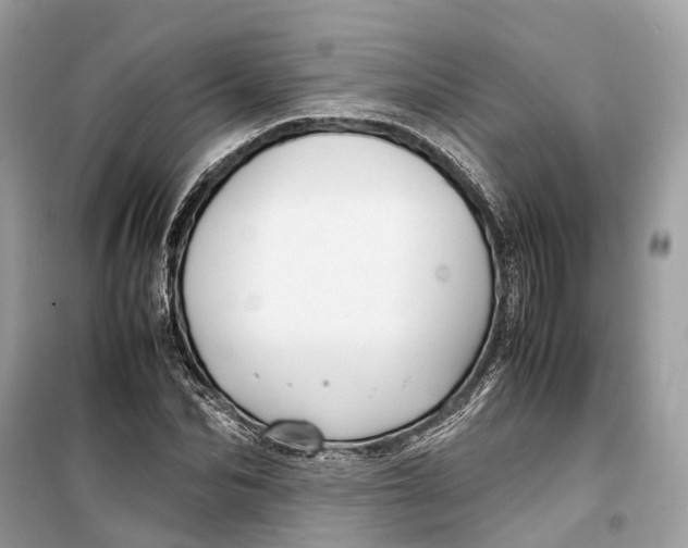 X0000099310974200805231359