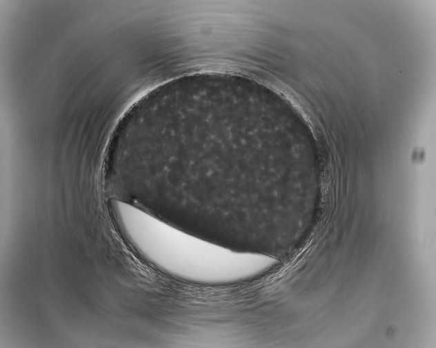 X0000099310975200805231359