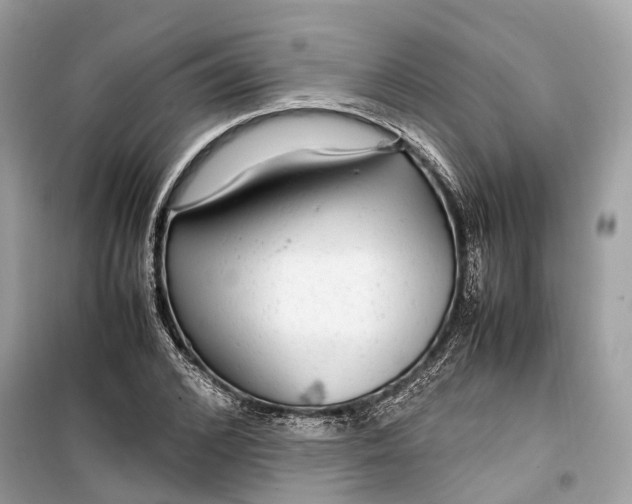 X0000099310976200805231359