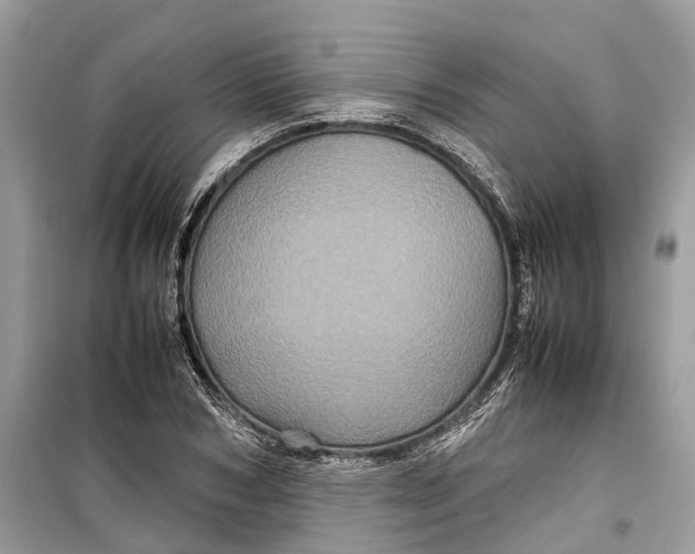 X0000099310978200805231359